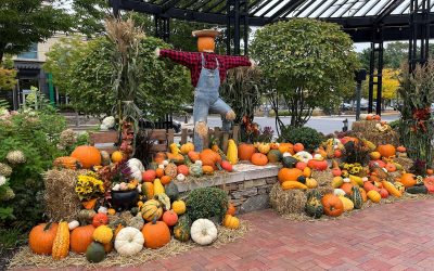 Halloween Time at Linden Square Courtyard